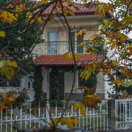 Woods Cottage Loutra Pozar Aridaia Megaplatanos Экстерьер фото