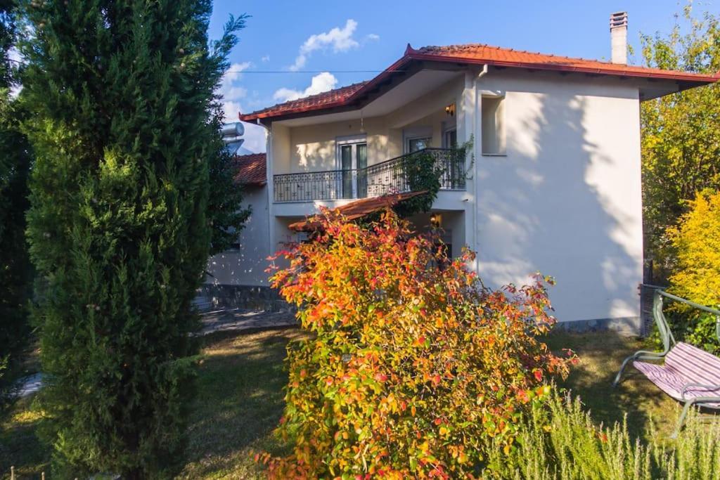 Woods Cottage Loutra Pozar Aridaia Megaplatanos Экстерьер фото