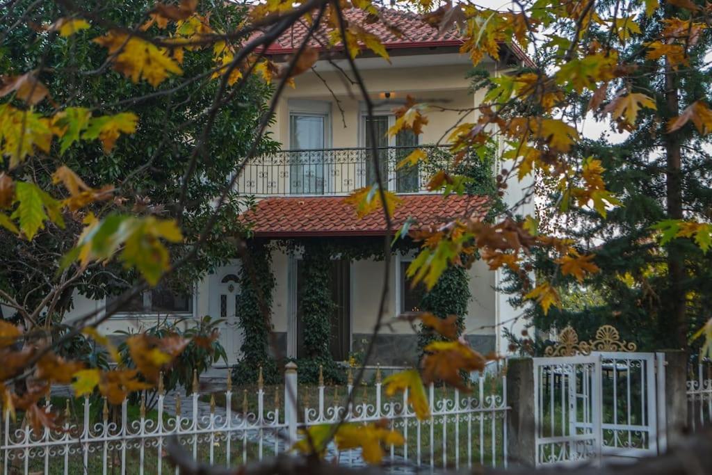 Woods Cottage Loutra Pozar Aridaia Megaplatanos Экстерьер фото